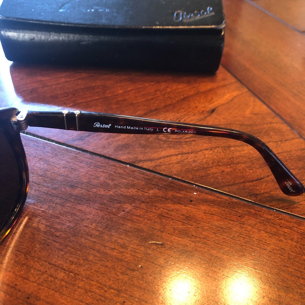 Persol Polarized Sunglasses View 3